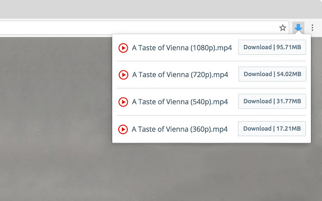 Màn hình làm việc của Video Downloader for Chrome