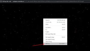 Download video bằng F12