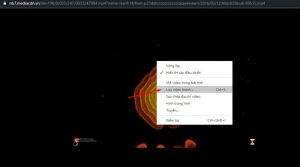 Download video bằng F12 - 4