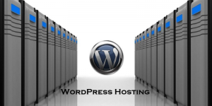 Tìm hiểu về Hosting WordPress