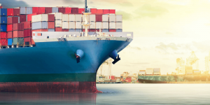 thuật ngữ ngành logistics - cargo