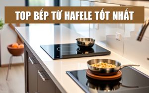 top bếp từ Hafele