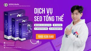 Dịch vụ SEO tổng thể MONA Media
