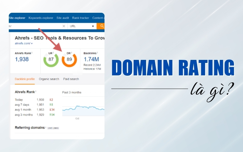Domain Rating Là Gì? Cách Tăng Chỉ Số DR Nâng Cao Thứ Hạng SEO