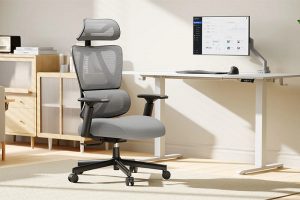 ghế công thái học là gì