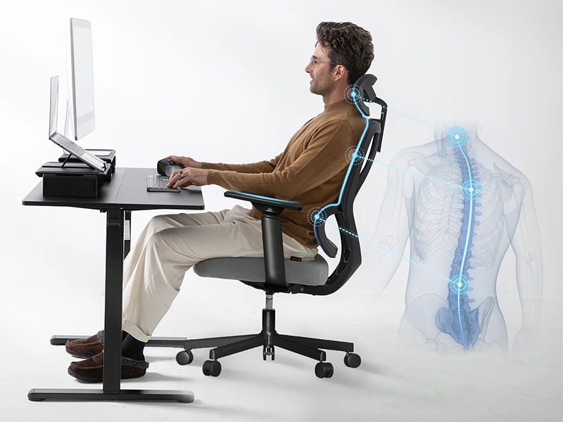 tác dụng của ghế công thái học